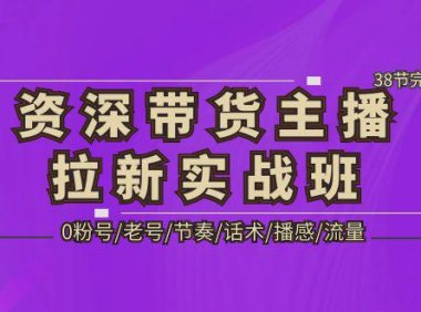 （4148）资深·带货主播拉新实战班，0粉号/老号/节奏/话术/播感/流量-38节完整版