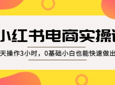 (4151)小红书·电商实操课:每天操作3小时,0基础小白也能快速做出爆款!