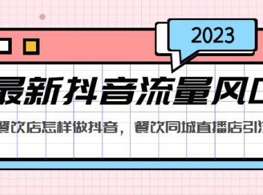 （4155）2023最新抖音流量风口，同城餐饮店怎样做抖音，餐饮同城直播店引流方法