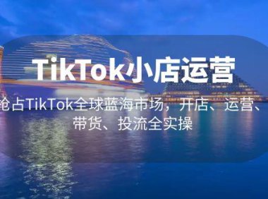 (4161)TikTok小店运营 抢占TikTok全球蓝海市场,开店、运营、带货、投流全实操