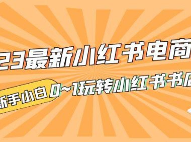 (4185)2023最新小红书·电商课,新手小白从0~1玩转小红书电商
