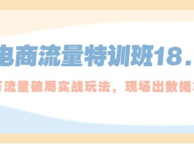 (4192)电商流量特训班18.0,直引万流量破局实操玩法,现场出数据拿结果