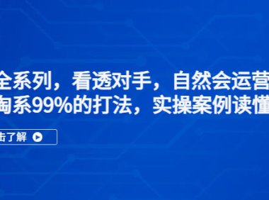 (4193)淘系全系列,看透对手,自然会运营,覆盖淘系99%·打法,实操案例读懂对手