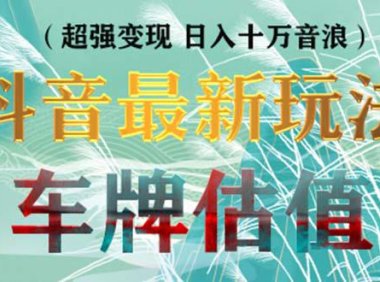 （4197）抖音最新无人直播变现直播车牌估值玩法项目 轻松日赚几百+【详细玩法教程】