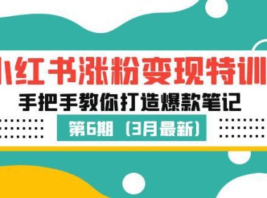 (4199)小红书涨粉变现特训·第6期,手把手教你打造爆款笔记(3月新课)