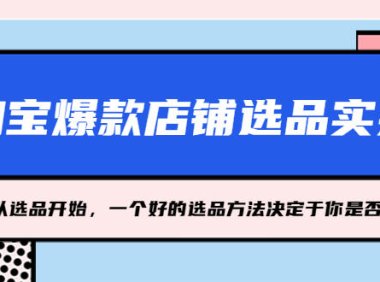 (4203)淘宝爆款店铺选品实操,2023从选品开始,一个好的选品方法决定于你是否盈利