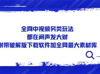 (4205)全网中视频另类玩法,都在闷声发大财,附带下载软件加全网最大素材库