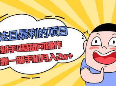 (4211)合法且暴利的项目,新手0基础可操作,仅靠一部手机月入2w+