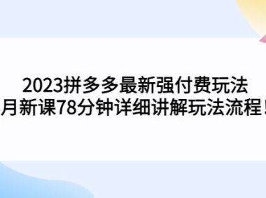 (4218)2023拼多多最新强付费玩法,3月新课78分钟详细讲解玩法流程!