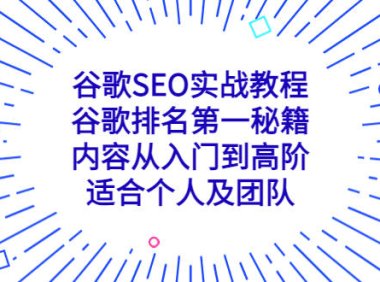 （4219）谷歌SEO实战教程：谷歌排名第一秘籍，内容从入门到高阶，适合个人及团队