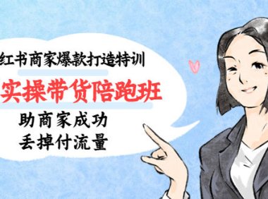 （4220）小红书商家爆款打造特训（14期）0-1实操带货陪跑班，助商家成功丢掉付流量
