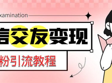 (4232)微信交友变现项目,吸引全网LSP男粉精准变现,小白也能轻松上手,日入500+