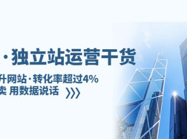 (4242)亿级·独立站运营干货:全面提升网站·转化率超过4%,轻松大卖 用数据说话