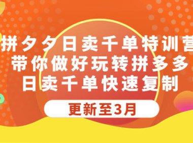 （4245）拼夕夕日卖千单特训营，带你做好玩转拼多多，日卖千单快速复制 (更新至3月)