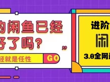 （4246）火爆全网的咸鱼玩法进阶课程，单号日入1K的咸鱼进阶课程