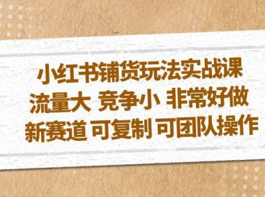 （4256）小红书铺货玩法实战课，流量大 竞争小 非常好做 新赛道 可复制 可团队操作