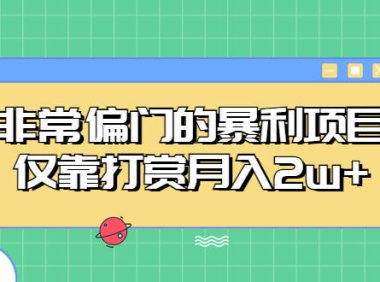 (4260)非常偏门的暴利项目,简单无脑仅靠打赏月入2w+