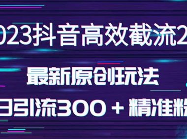 (4262)日引300+创业粉,独家抖音高效截流2.0玩法(价值1280)