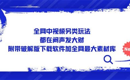(4205)全网中视频另类玩法,都在闷声发大财,附带下载软件加全网最大素材库