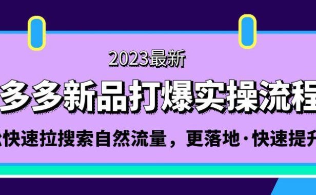 （3970）拼多多-新品打爆实操流程：轻松快速拉搜索自然流量，更落地·快速提升!