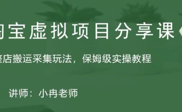(4026)淘宝虚拟整店搬运采集玩法分享课:整店搬运采集玩法,保姆级实操教程