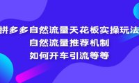 （4294）拼多多自然流量天花板实操玩法：自然流量推荐机制，如何开车引流等等