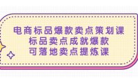 （4307）电商标品爆款卖点策划课，标品卖点成就爆款，可落地卖点提炼课