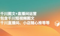 （4376）千川图文+直播间运营，包含千川短视频图文、千川直播间、小店随心推等等