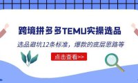 (4377)跨境拼多多TEMU实操选品运营方法,选品避坑12条标准,爆款的底层思路等