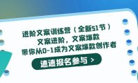 （4386）进阶文案训练营（全新51节）文案爆款，带你从0-1成为文案爆款创作者