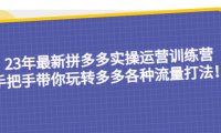 (4411)23年最新拼多多实操运营训练营:手把手带你玩转多多各种流量打法!