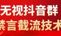 （4463）抖音粉丝群无视禁言截流技术，抖音黑科技，直接引流，0封号（教程+软件）