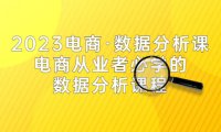 (4466)2023电商·数据分析课,电商·从业者必学的数据分析课程(42节课)