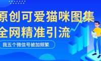 (4470)黑科技纯原创可爱猫咪图片,全网精准引流,实操5个VX号被加频繁