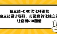 (4475)独立站-CRO优化特训营,独立站设计秘籍,打造高转化独立站,让店铺ROI翻倍