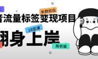 (4481)抖音流量标签变现项目,抖音创业粉轻松转化,单价高收益简单