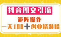 (4491)抖音图文引流 矩阵操作 一天100+创业精准粉(5节视频课+素材模板)