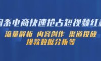 (4514)淘系电商快速抢占短视频红利:流量解析 内容创作 渠道投放 爆款数据分析等