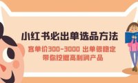 (4517)小红书必出单选品方法:客单价300-3000 出单很稳定 带你挖掘高利润产品