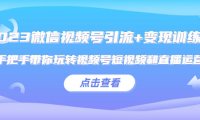 （4526）2023微信视频号引流+变现训练营：手把手带你玩转视频号短视频和直播运营!