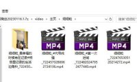 （4542）抖音视频主页爬虫一键下载工具PC版