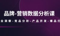 (4547)品牌-营销数据分析课,行业洞察-竞品分析-产品开发-爆品打造