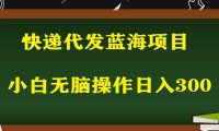 (4554)2023最新蓝海快递代发项目,小白零成本照抄也能日入300+