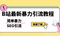 （4561）b站最新引流方法，暴力SEO引流玩法，一天可以量产几百个视频（附带软件）