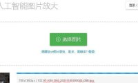 （4575）（免费分享）bigjpg AI人工智能图片放大工具，自动补充像素格