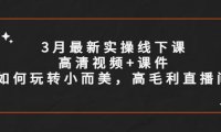（4581）3月最新实操线下课高清视频+课件，如何玩转小而美，高毛利直播间