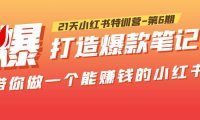 (4582)21天小红书特训营-第6期,打造爆款笔记,带你做一个能赚钱的小红书!