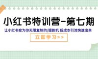 (4585)小红书特训营-第七期 让小红书变为你无限复制的/提款机 低成本引流快速出单