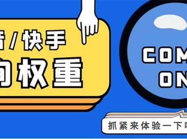 （4290）外面收费688快手查权重+抖音查权重+QQ查估值三合一工具【查询脚本+教程】