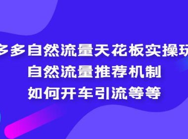 （4294）拼多多自然流量天花板实操玩法：自然流量推荐机制，如何开车引流等等
